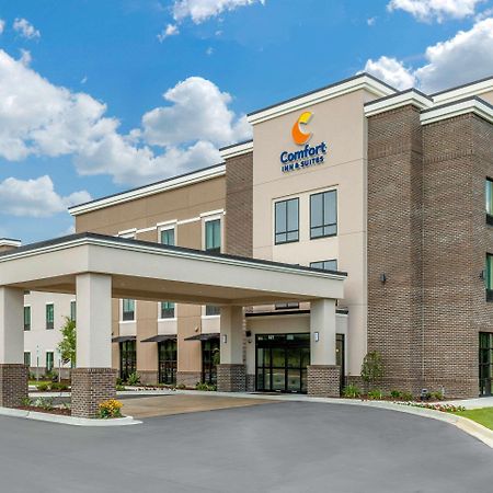 Comfort Inn & Suites Флоренс Экстерьер фото