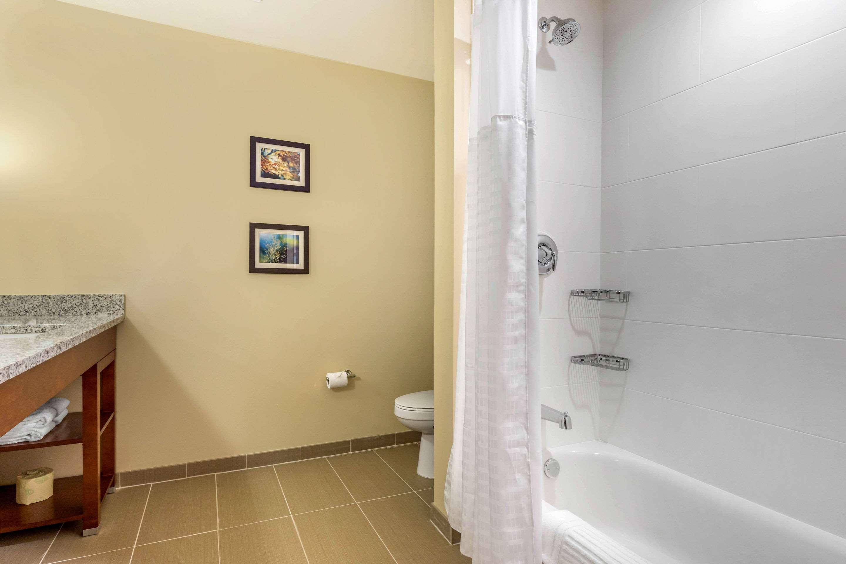 Comfort Inn & Suites Флоренс Экстерьер фото