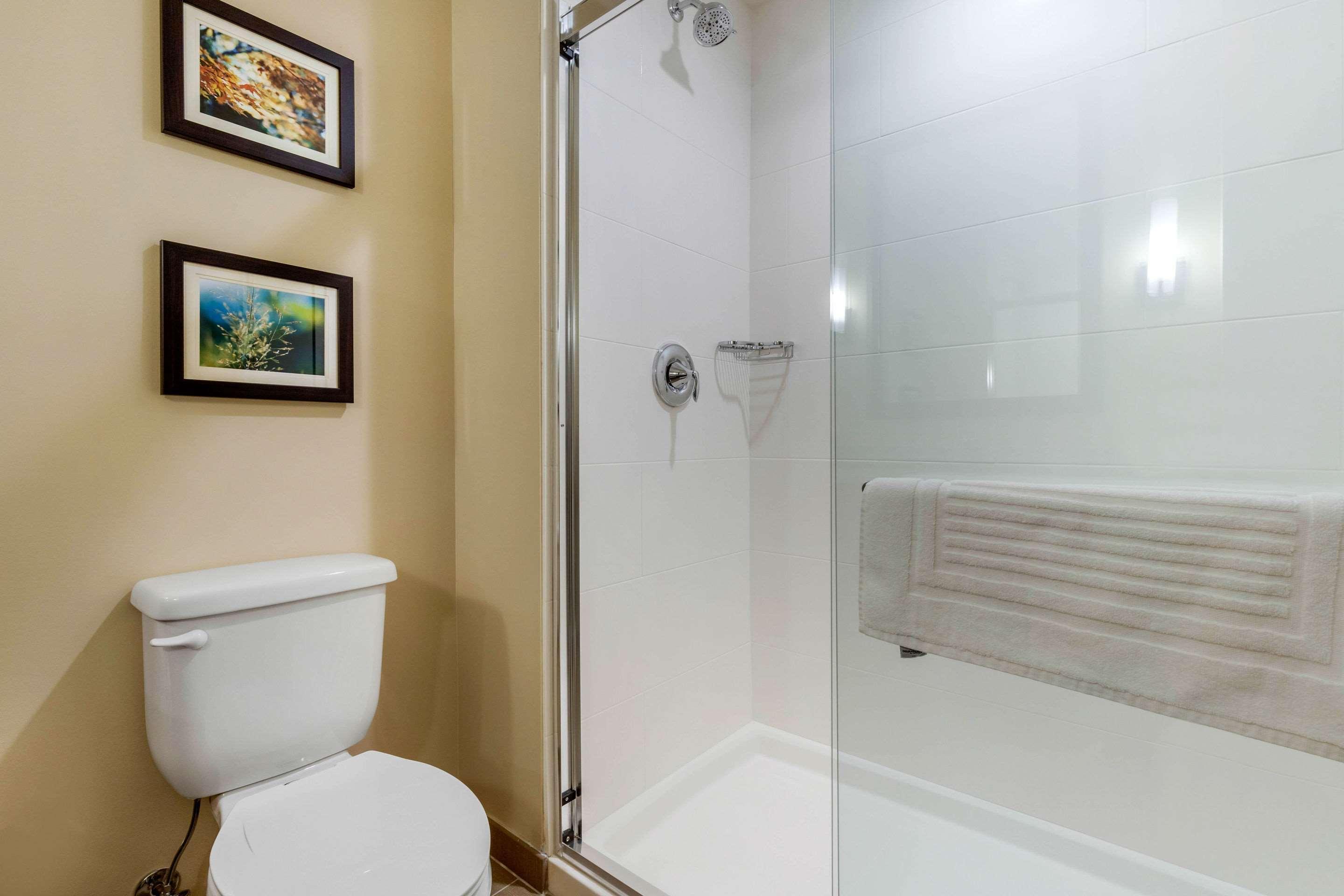 Comfort Inn & Suites Флоренс Экстерьер фото